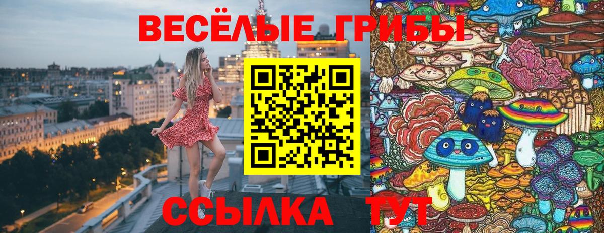 Псилоцибиновые грибы Psilocybe Коммунар